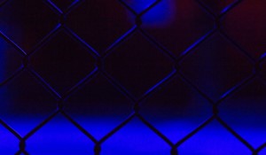 A Landmark Verdict: Nikita Hand's Civil Victory Against Conor McGregor